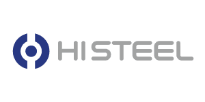 Histeel logotipas - Tezaurus kliento auditas